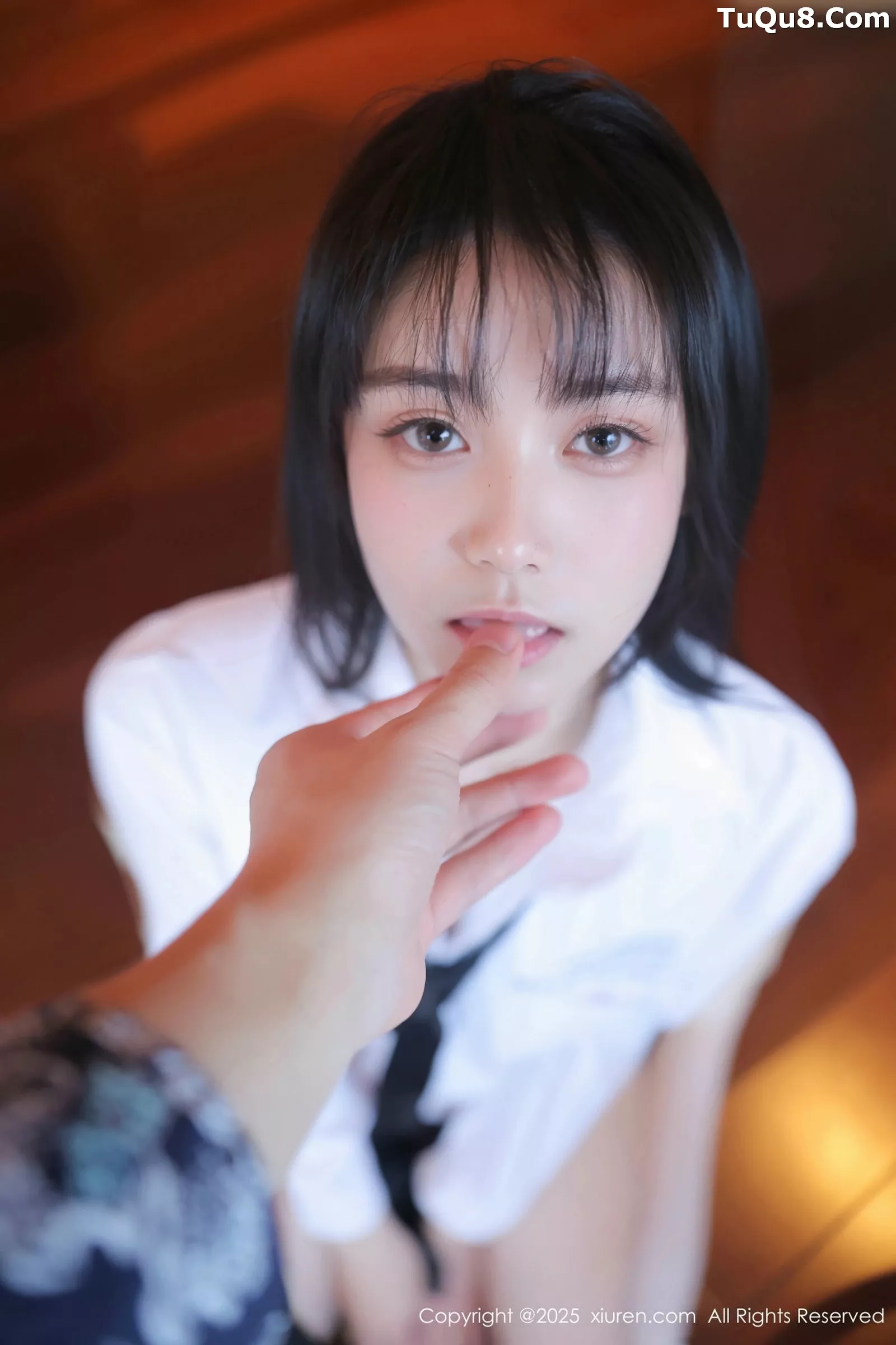 软情写真